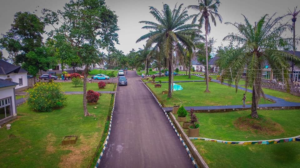 217139606 4226262994134413 439447689128638737 n