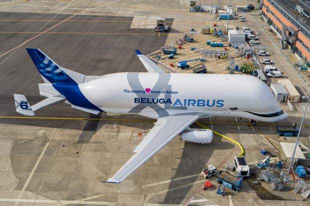 beluga xl3article 620