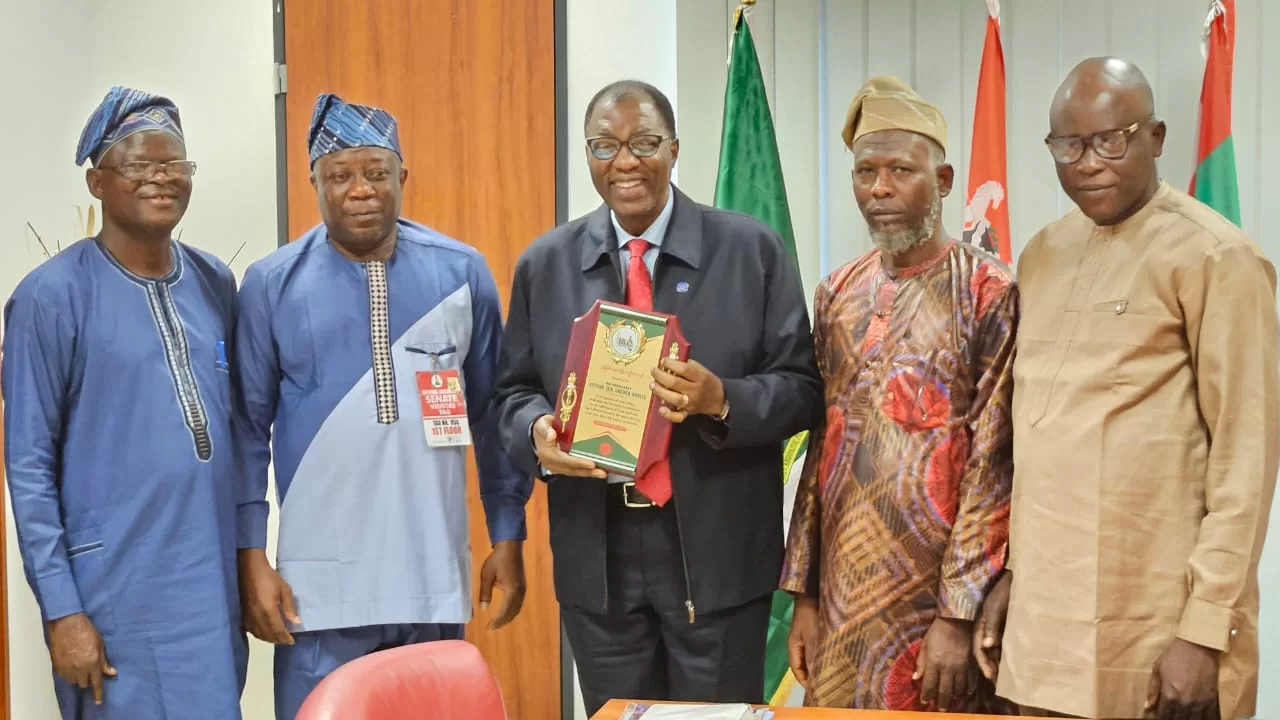 IMG 20231108 WA0285 jpg