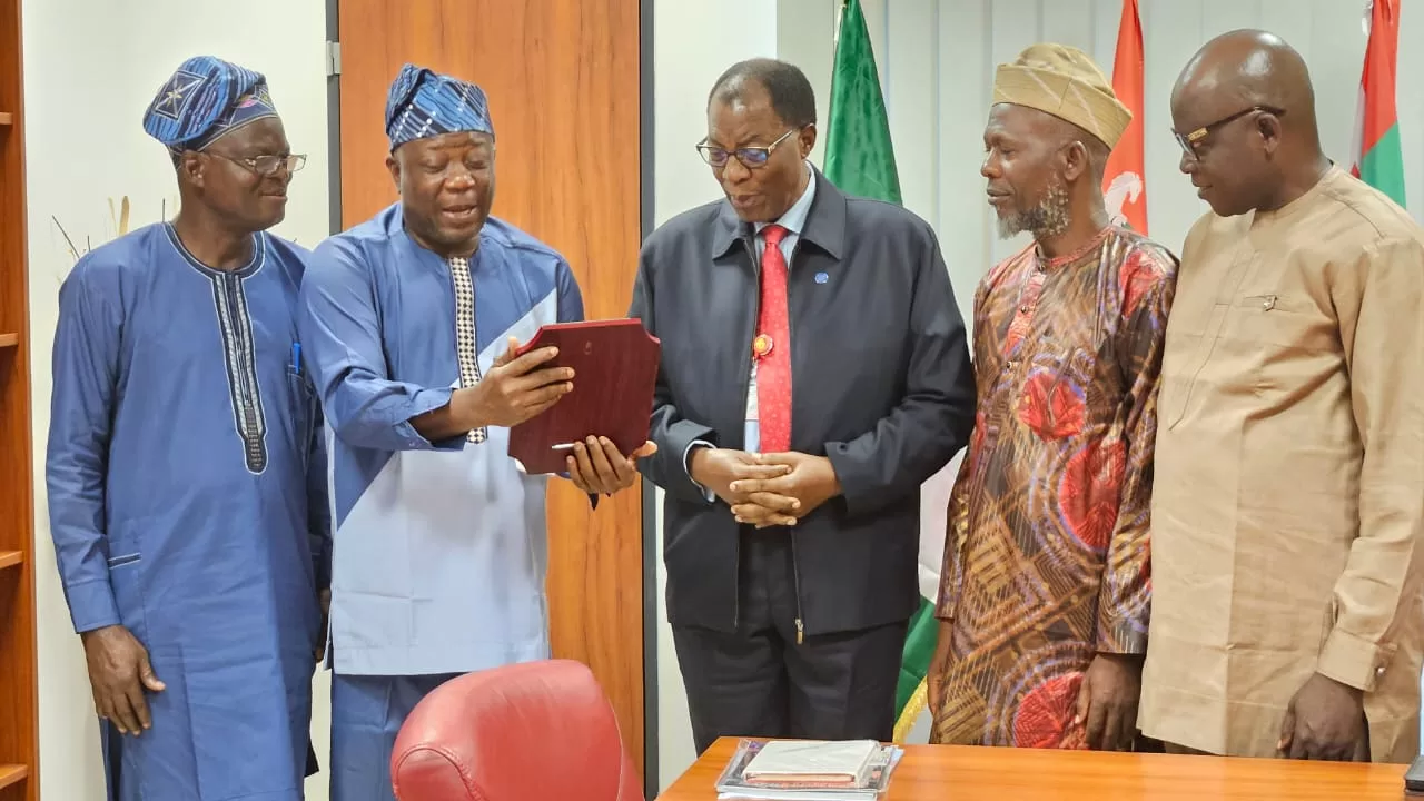 IMG 20231108 WA0288 jpg