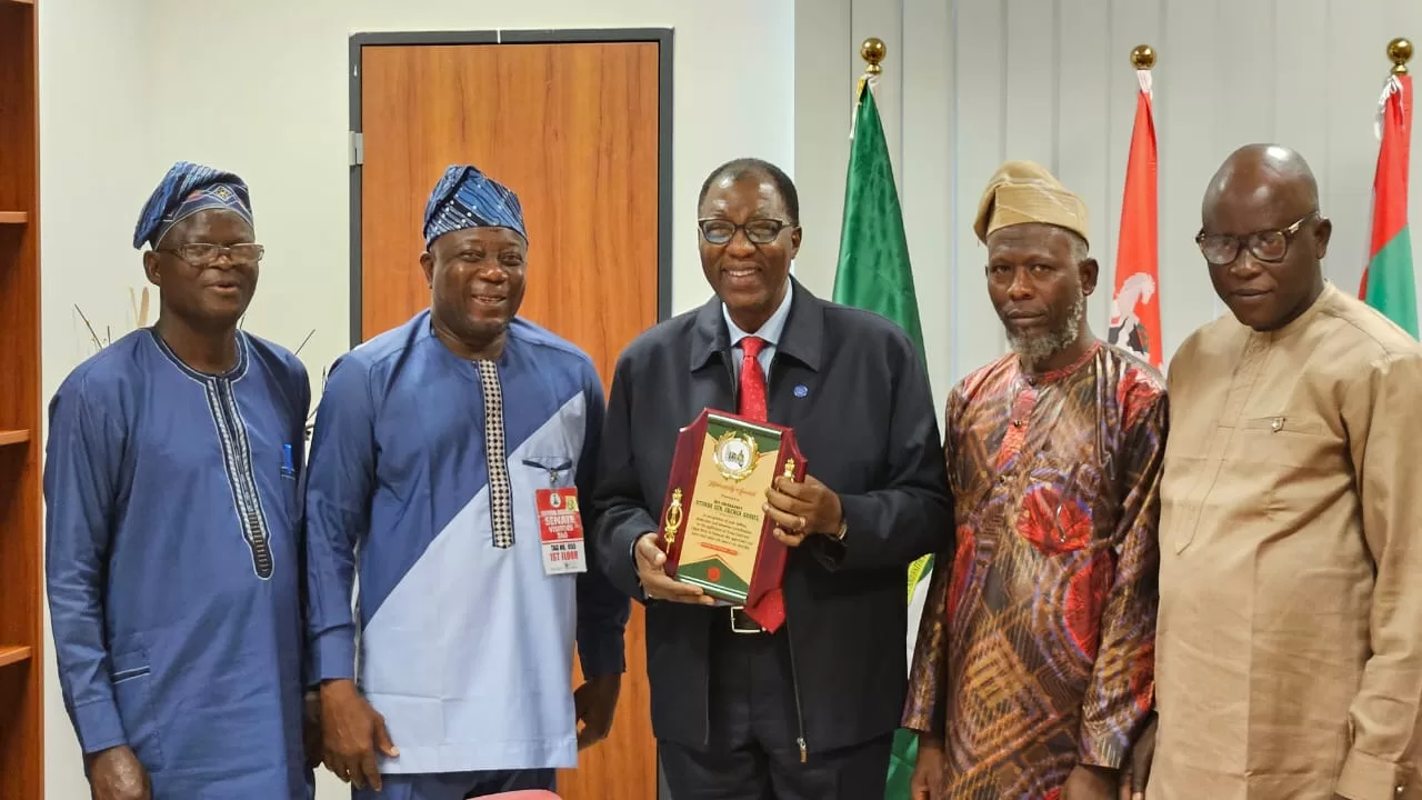 IMG 20231108 WA0289 jpg