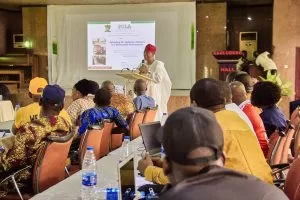 Image 2023 11 11 at 20700 PM 1 300x200 1 jpeg