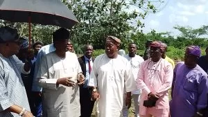 Image 2023 12 04 at 11445 PM 1 300x169 1 jpeg