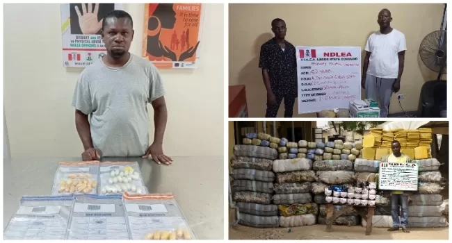 MixCollage 28 Jan 2024 12 07 PM 2614 jpg