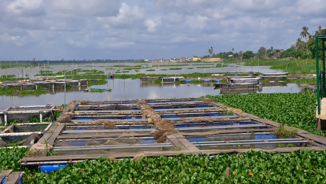 Image 2024 03 17 at 82937 PM 3 jpeg