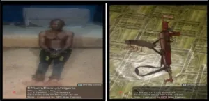 7e98fc7d a552 4474 8c0c 70773e10bf31