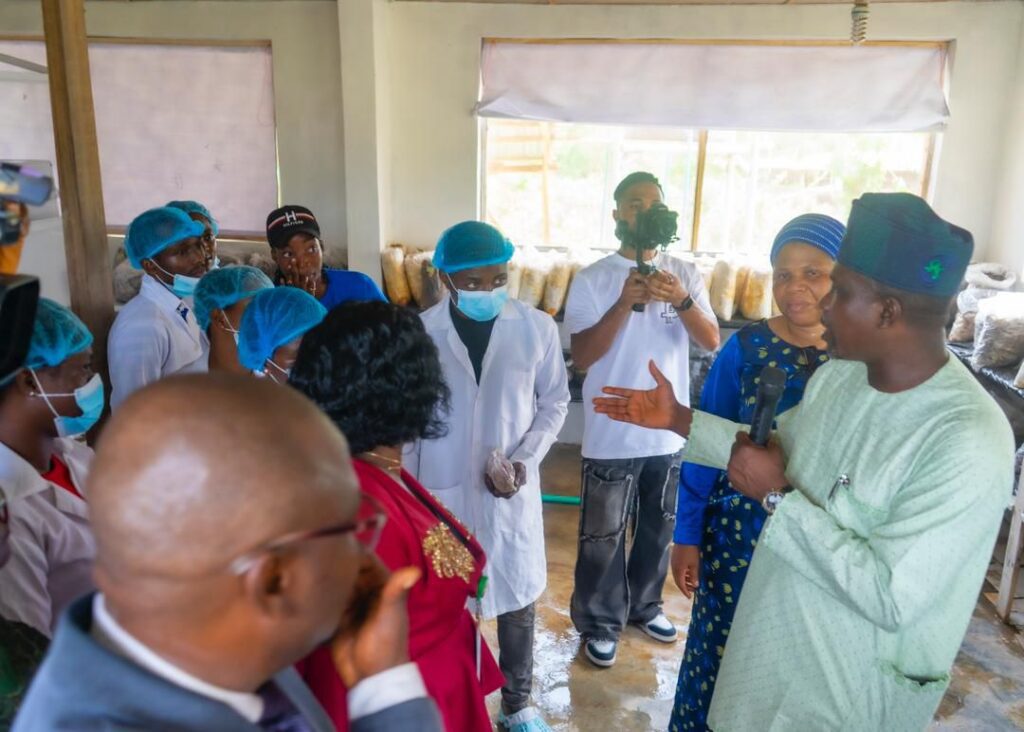 img 20240501 wa00016891526527567053283