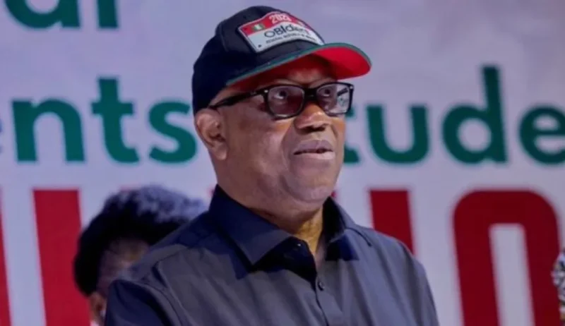 Ebonyi LP endorses Peter Obi as national party leader