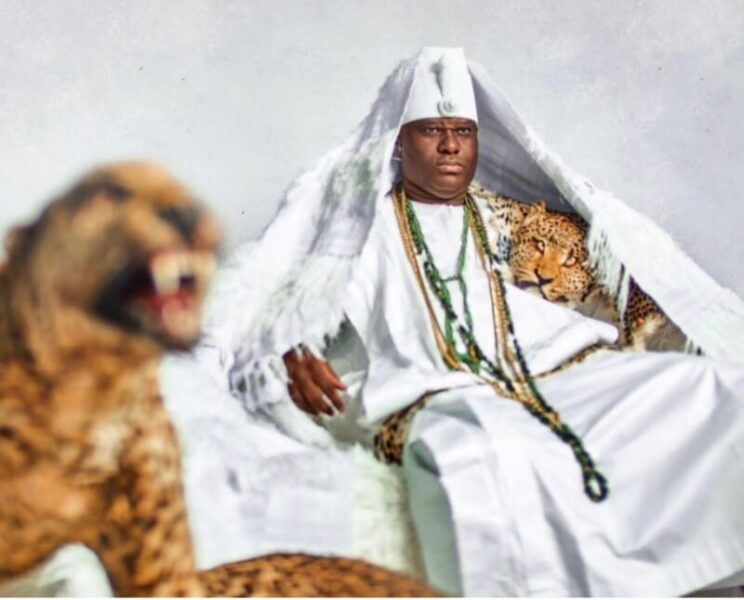 IMG 20230131 WA0062 scaled