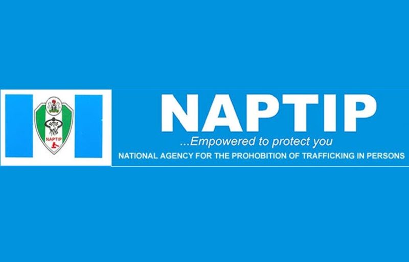 NAPTIP logo scaled