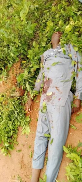 GWKNIJeXIAAn7Ed scaled