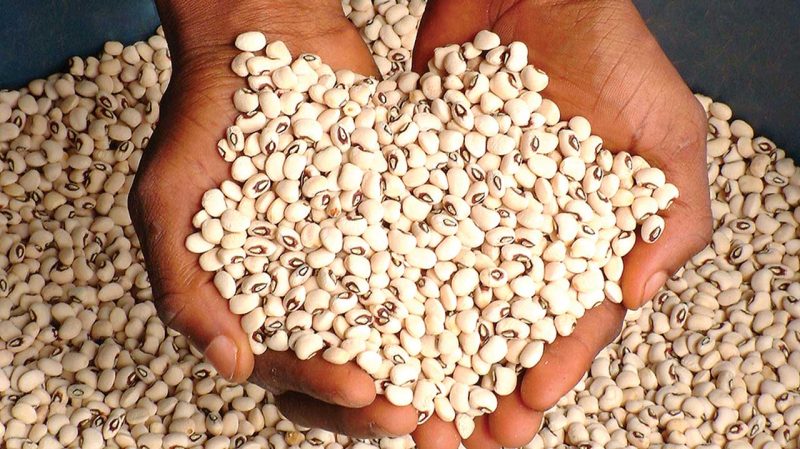 Settle $72,000 liabilities for damaged bean export, FG orders firm