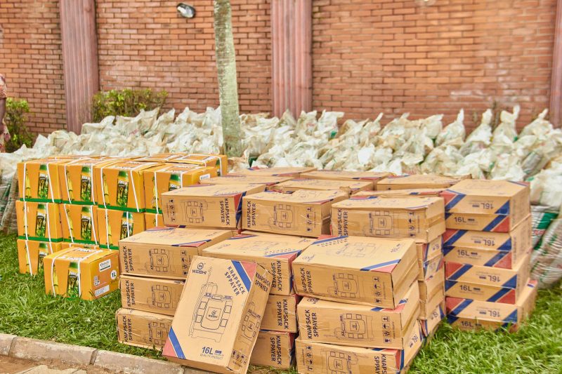 WhatsApp Image 2024 09 17 at 05.33.49 1 scaled