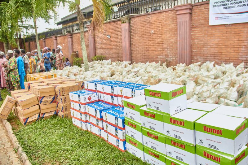 WhatsApp Image 2024 09 17 at 05.33.49 scaled