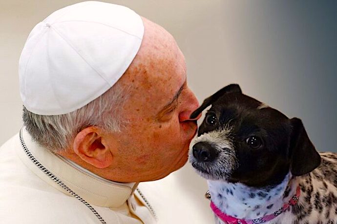 popedog