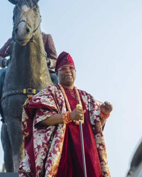 WhatsApp Image 2024 12 28 at 12.09.56 PM scaled