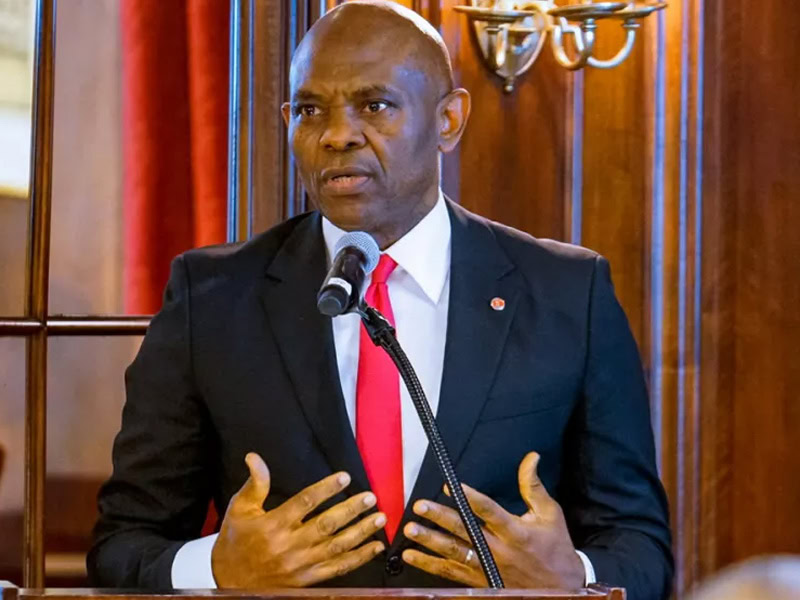 Elumelu