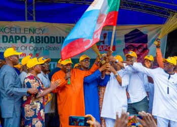 Ogun PDP defections 2025