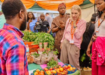 Netherlands support for Nigerian agriculture