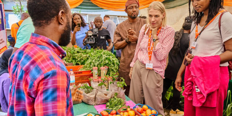 Netherlands support for Nigerian agriculture