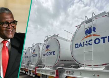 arrival of 4000 cng trucks for free logistics for distribution of pms and diesel nationwide