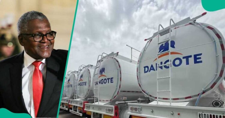 arrival of 4000 cng trucks for free logistics for distribution of pms and diesel nationwide