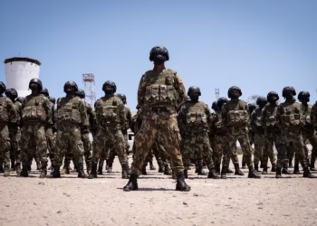 FETO terrorist group Nigeria