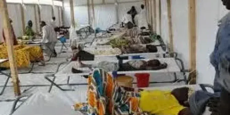 Zamfara Cholera Outbreak