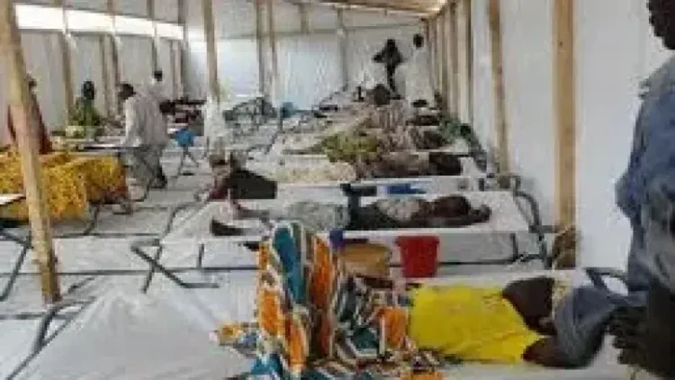 Zamfara Cholera Outbreak