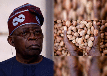 Nigeria shea nut export ban