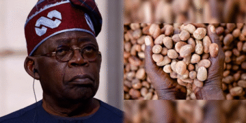 Nigeria shea nut export ban