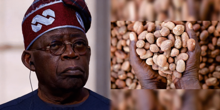 Nigeria shea nut export ban