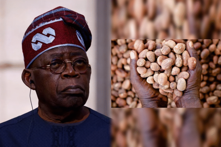 Nigeria shea nut export ban