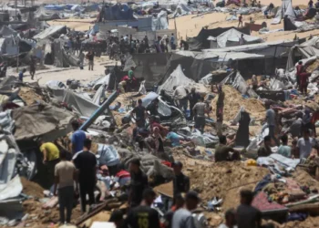 Gaza Aid Killings
