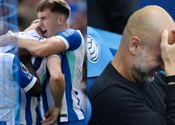 Brighton defeat Manchester City