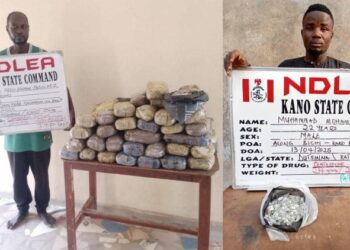 NDLEA Kano arrest