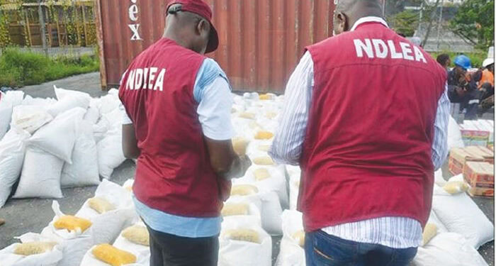 NDLEA Adamawa seizes drugs