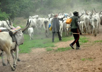 Fulani herdsmen