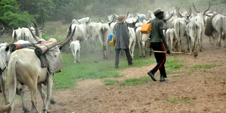 Fulani herdsmen