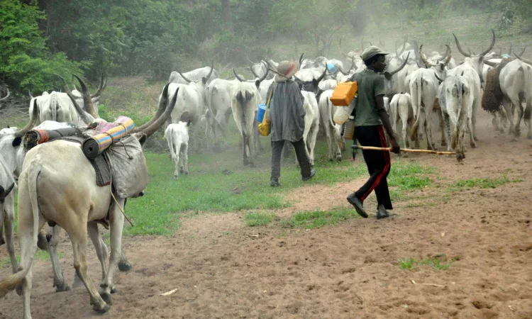 Fulani herdsmen