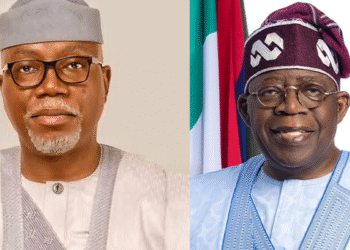 Tinubu 2027 Endorsement