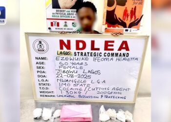 NDLEA arrests widow with cocaine