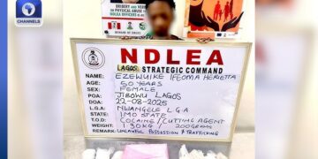NDLEA arrests widow with cocaine