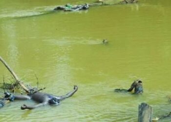 Ezu River Police SARS Killings