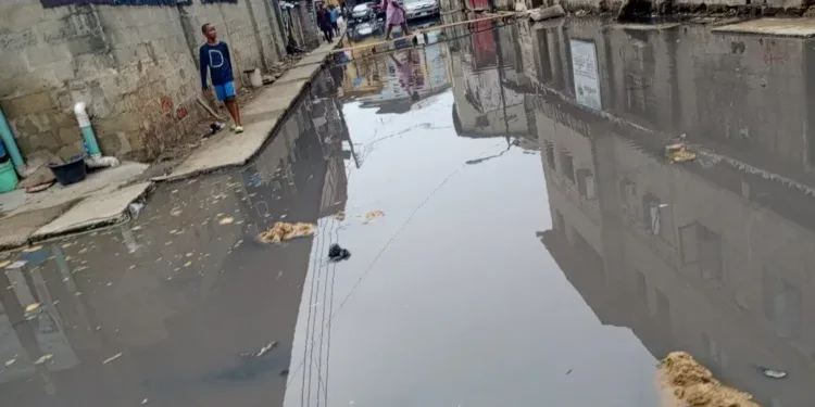 Lekki borehole water contamination