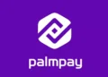 PalmPay Youth Training