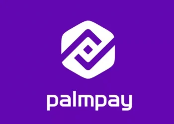 PalmPay Youth Training