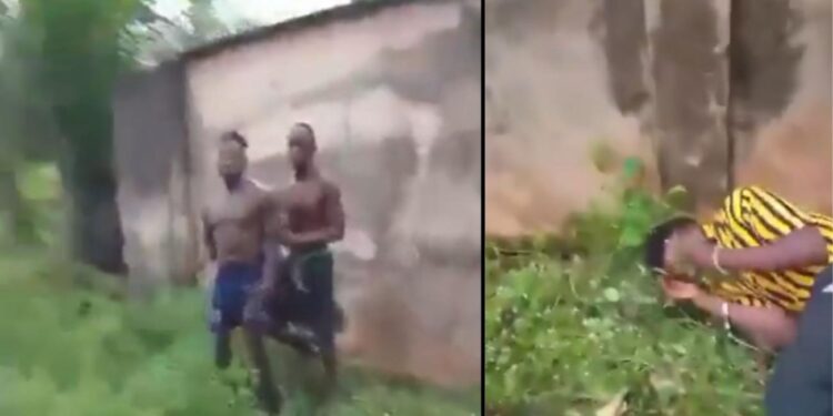Nigeria viral shooting video