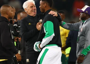 Super Eagles World Cup hopes