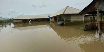 20250825 202454 e1756149930387